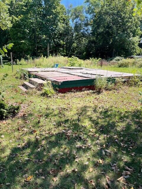 700 11th Street Three Rivers, MI 49093 - Photo 4 of 4 700 11TH 4