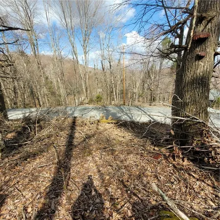 a view of a backyard of the house
