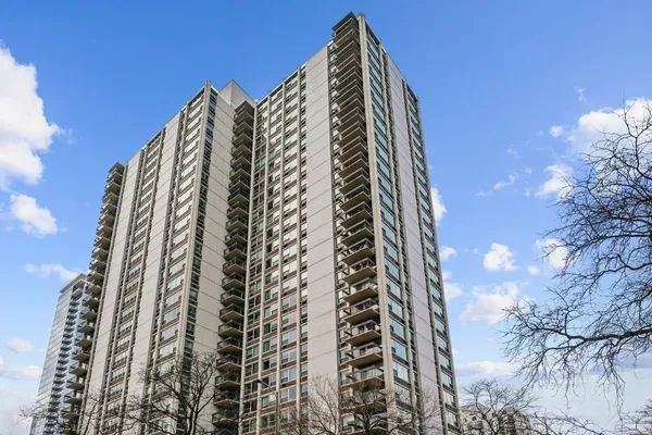 $2,300 | 1255 North Sandburg Terrace, Unit 805E, Chicago, IL 60610