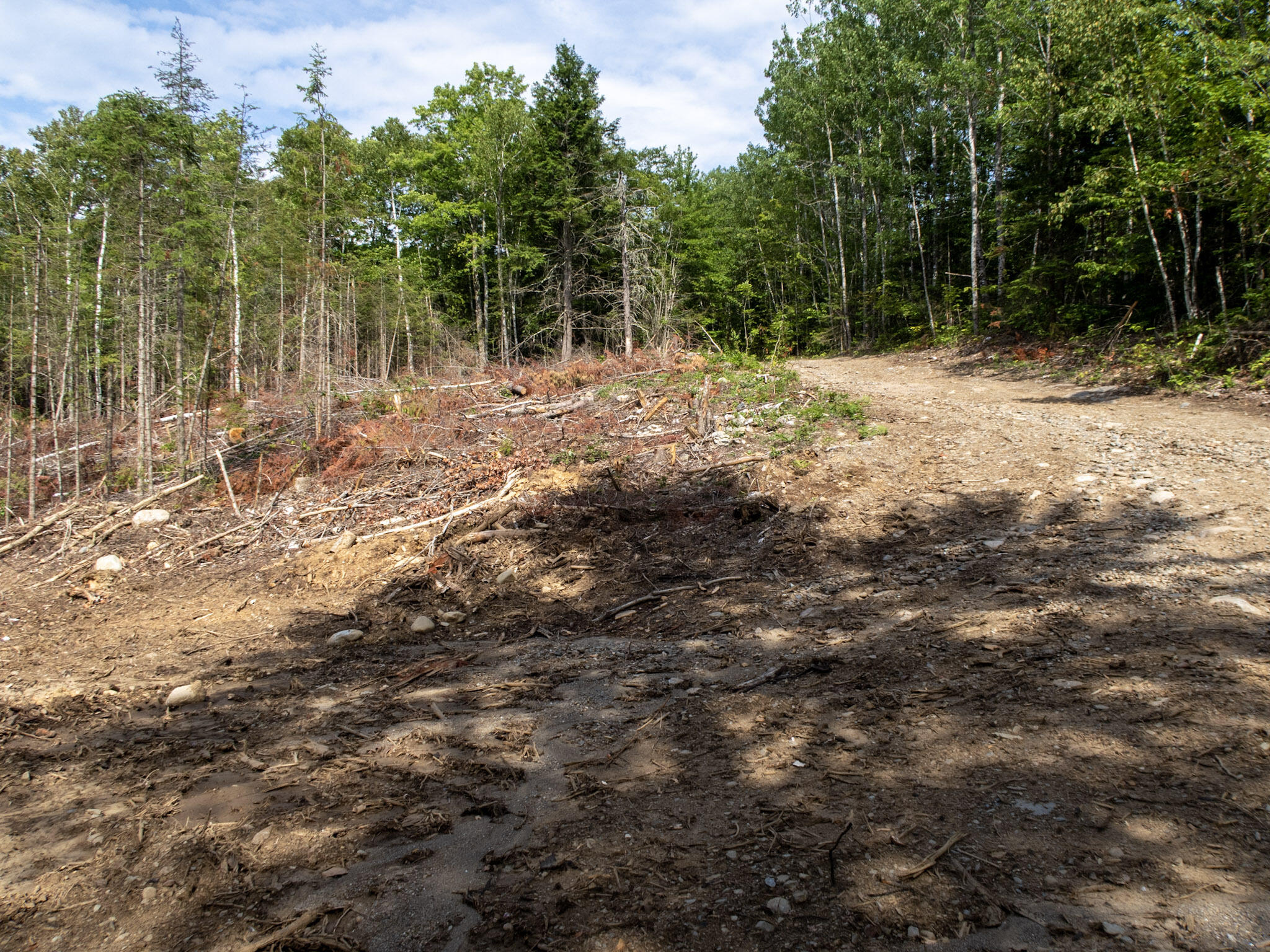 163 East Gulch Road Thorndike, ME 04986 - Photo 11 of 19 IMG_2176