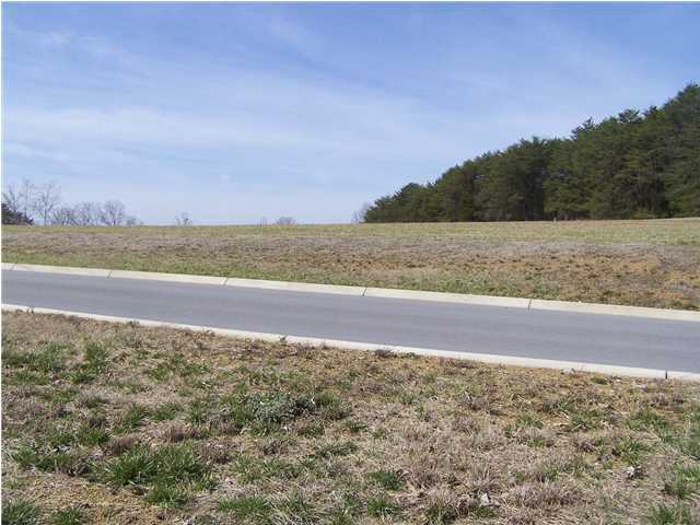 3052 Lee Ridge Road Morristown, TN 37814 - Photo 1 of 9 Primary Photo