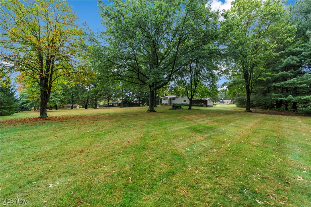 648 Rehwinkle Road Northfield, OH 44067 - Photo 27 of 38 View of green lawn featuring view of wooded area