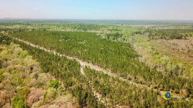 $318,000 | 5659 State Rd S-28-31, Jefferson, SC 29718