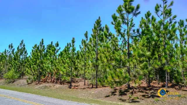 $318,000 | 5659 State Rd S-28-31, Jefferson, SC 29718