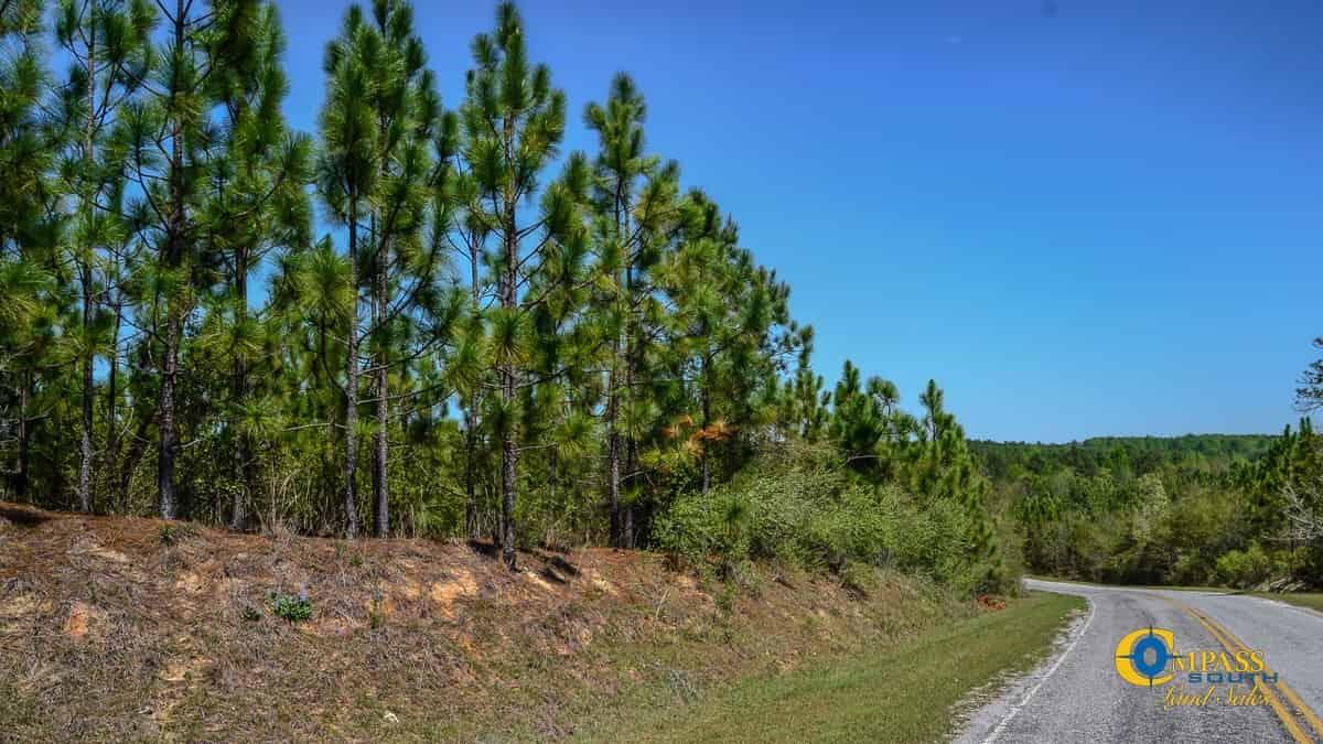 5659 State Rd S-28-31 Jefferson, SC 29718 - Photo 5 of 10 Buffalo Creek North South Carolina-07