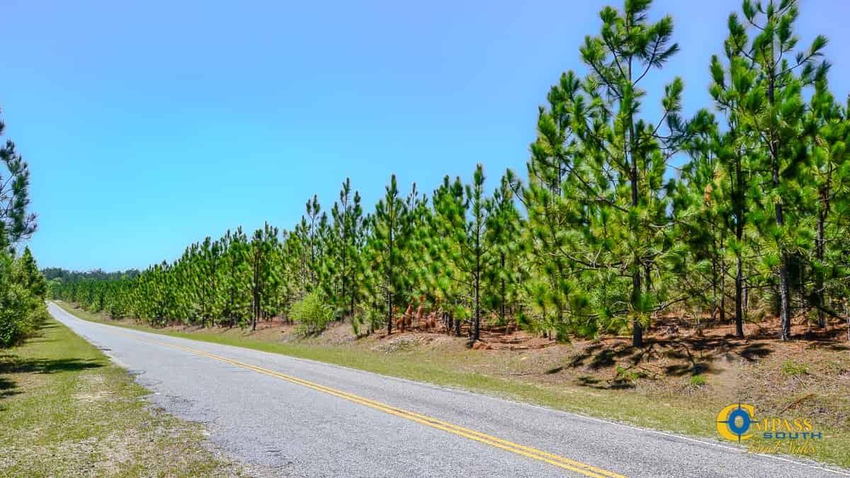 5659 State Rd S-28-31 Jefferson, SC 29718 - Photo 6 of 10 Buffalo Creek North South Carolina-04