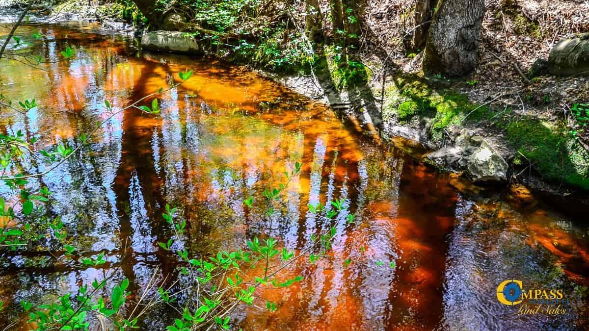 5659 State Rd S-28-31 Jefferson, SC 29718 - Photo 8 of 10 Buffalo Creek North South Carolina-02
