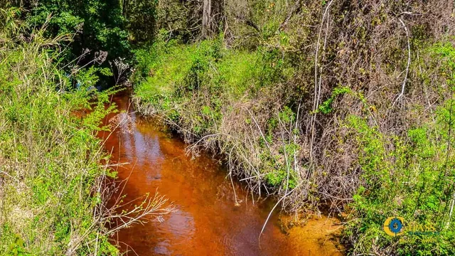 $318,000 | 5659 State Rd S-28-31, Jefferson, SC 29718