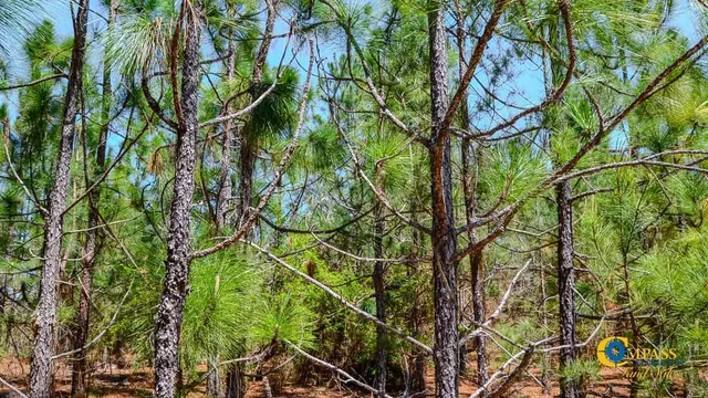 $318,000 | 5659 State Rd S-28-31, Jefferson, SC 29718