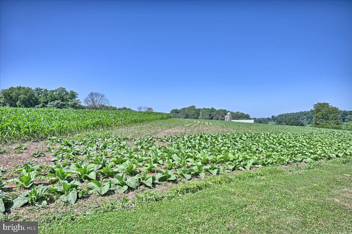 198 Sides Mill Road Strasburg, PA 17579 - Photo 31 of 32