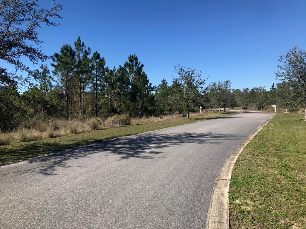 29 Shallow Reed Drive Quincy, FL 32351 - Photo 4 of 4