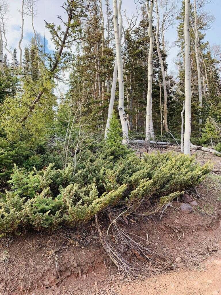 West Village Beaver, UT 84713 - Photo 26 of 27 20210514104011845143000000-o