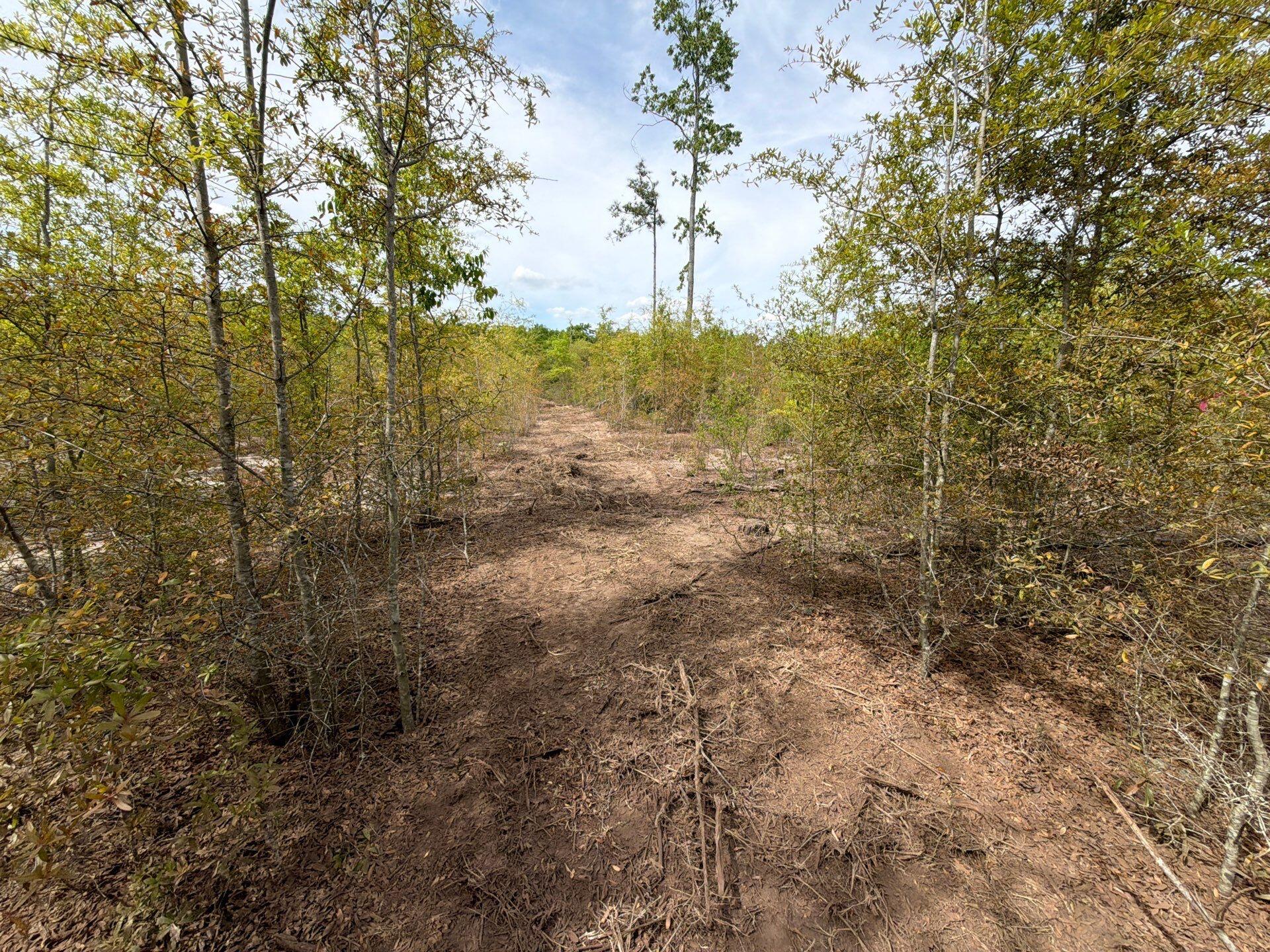 6 Rogers Cemetery Road, Unit RRF 6 Salley, SC 29137 - Photo 16 of 19