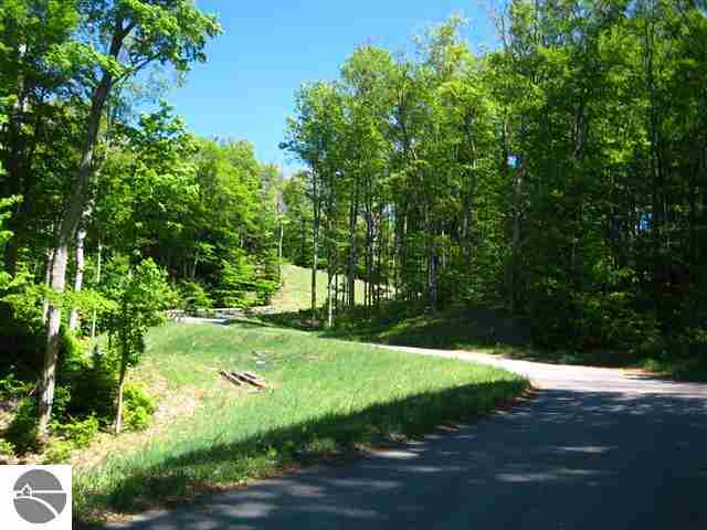 3100 Warren Road, Unit LOT: A Beulah, MI 49617 - Photo 29 of 43
