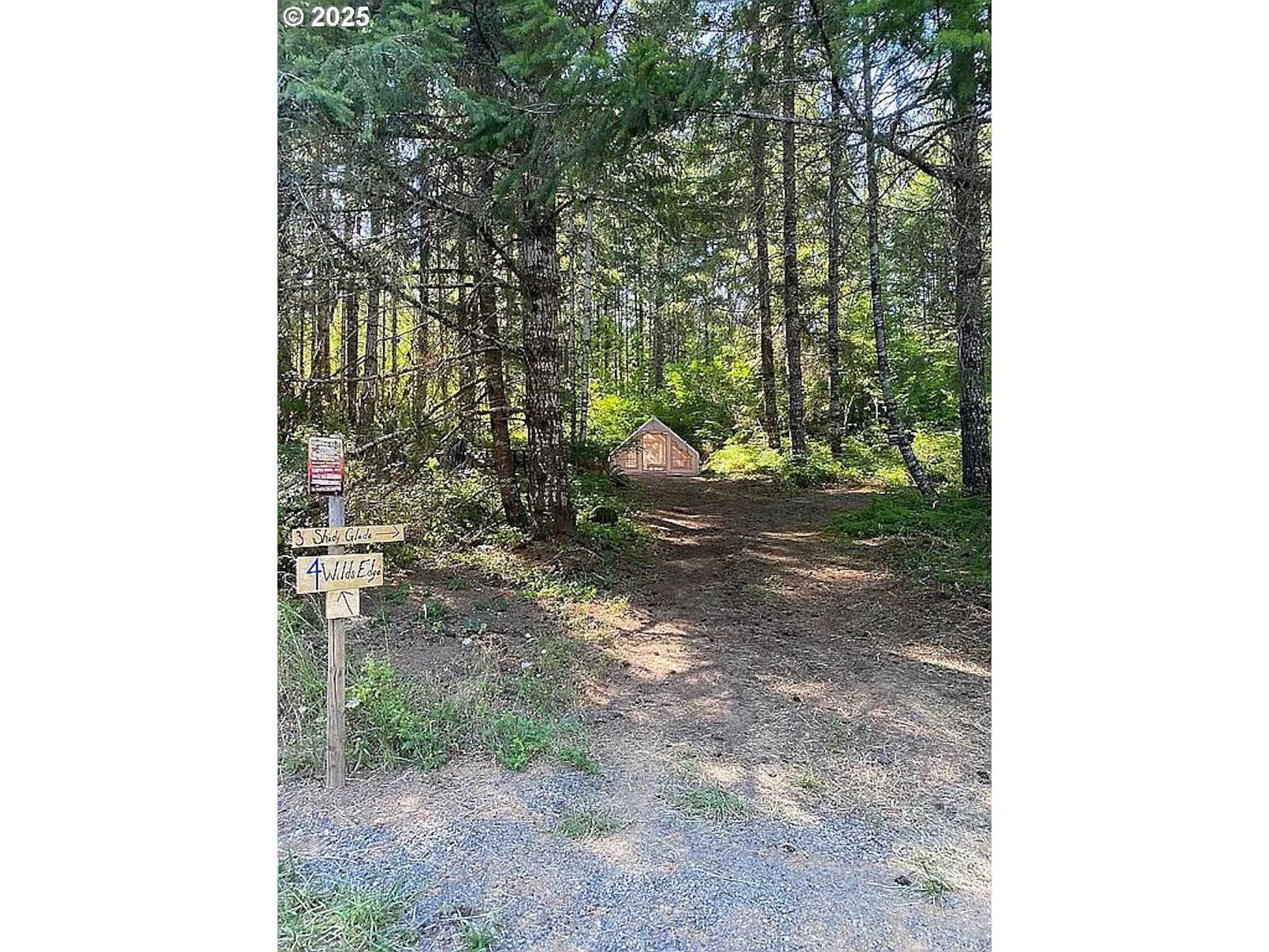 55778 Southwest Scoggins Valley Road Gaston, OR 97119 - Photo 23 of 42 a view of a yard with trees