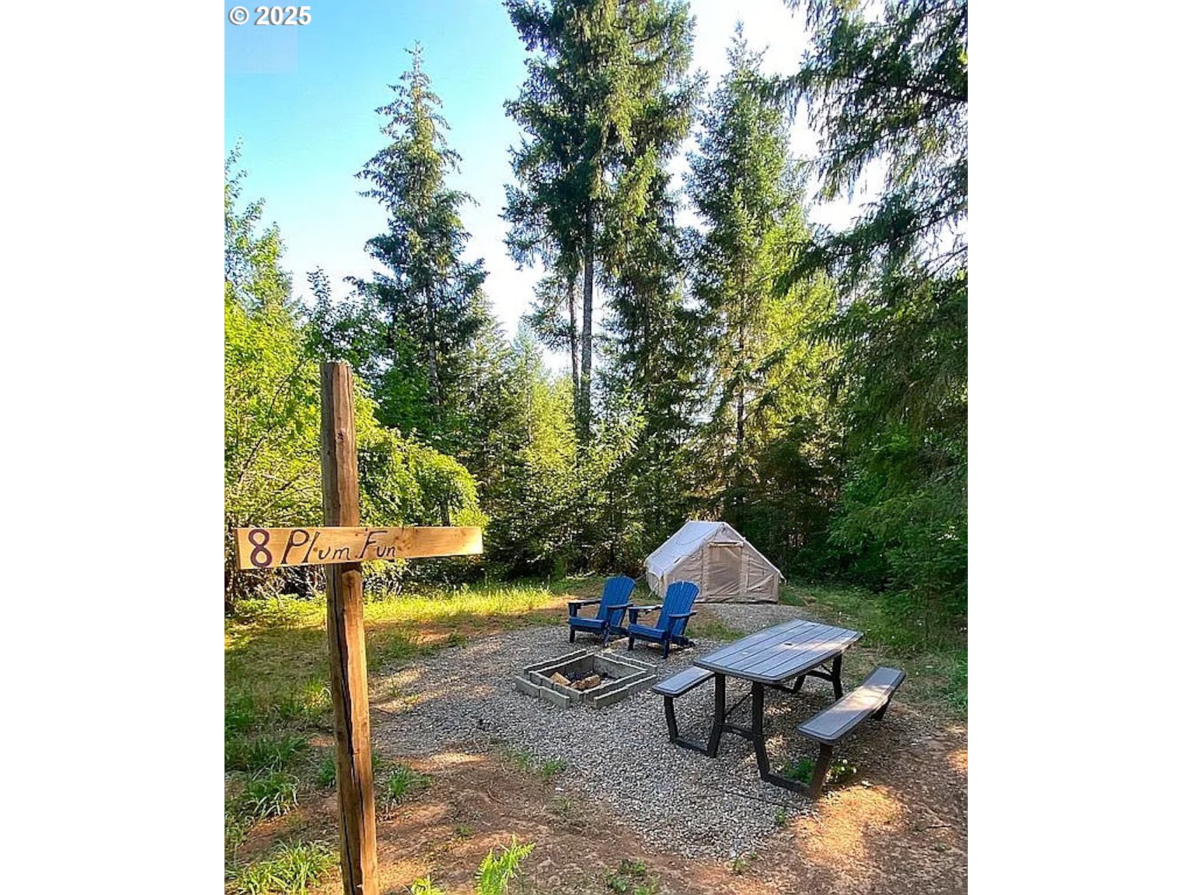 55778 Southwest Scoggins Valley Road Gaston, OR 97119 - Photo 24 of 42 a view of a small yard in a back yard