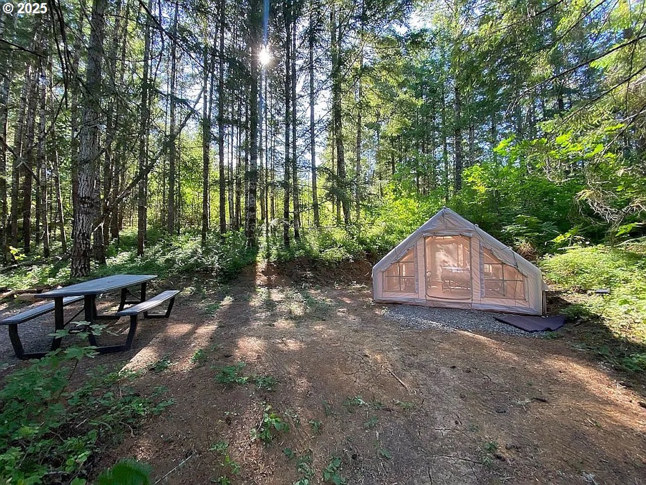 55778 Southwest Scoggins Valley Road Gaston, OR 97119 - Photo 25 of 42 a view of a garden with a bench and some trees
