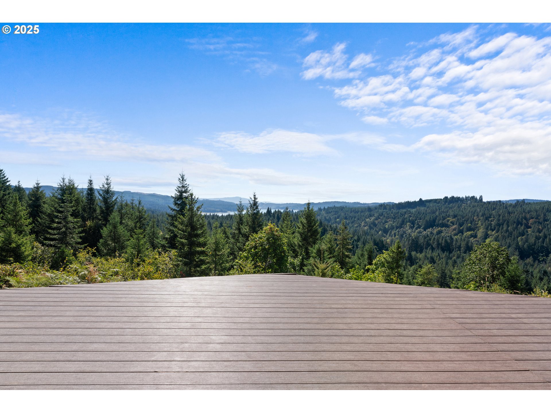 55778 Southwest Scoggins Valley Road Gaston, OR 97119 - Photo 30 of 42 a view of outdoor space with city view
