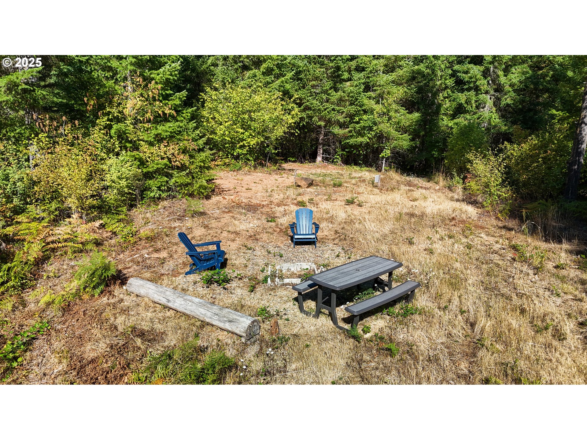 55778 Southwest Scoggins Valley Road Gaston, OR 97119 - Photo 41 of 42 a black and white photo of a park