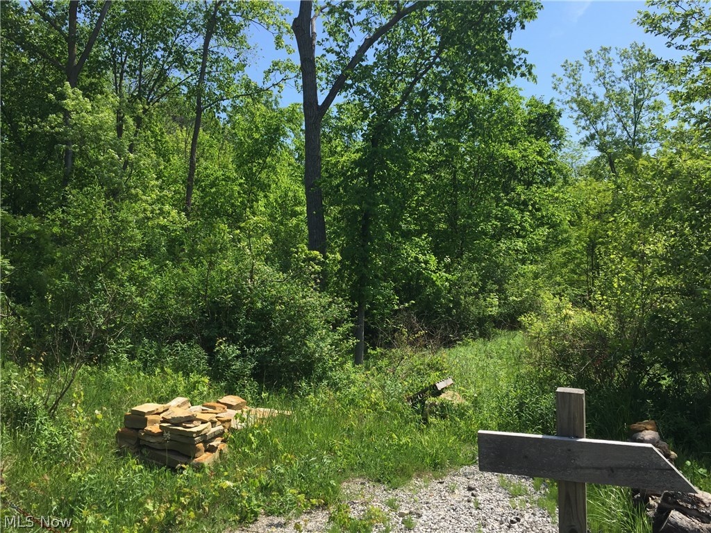 Substation Road Brunswick, OH 44212 - Photo 2 of 3 Gallery Image 2