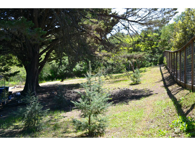 23320 Morrill Road Los Gatos, CA 95033 - Photo 16 of 17 Gallery Image 16