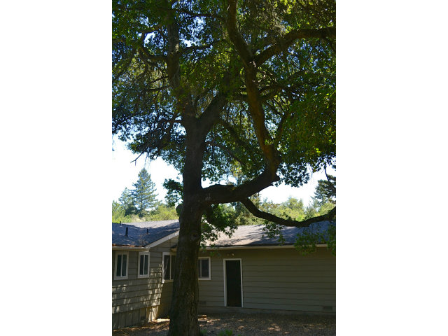 23320 Morrill Road Los Gatos, CA 95033 - Photo 9 of 17 Gallery Image 9