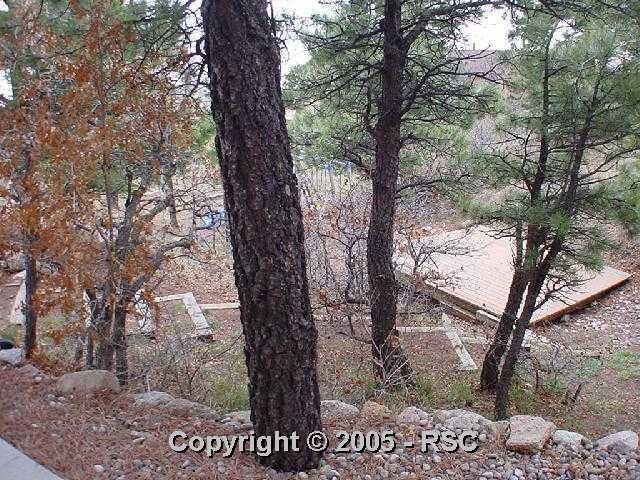 6220 Wilson Road Colorado Springs, CO 80919 - Photo 7 of 12 Gallery Image 7