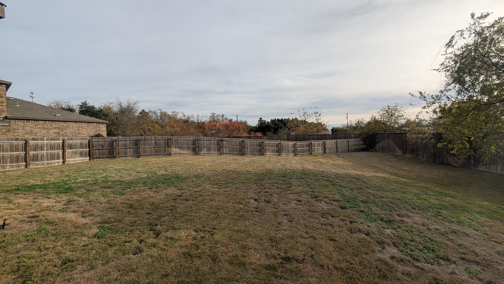 1356 Eagle Ridge Trail Leander, TX 78641 - Photo 10 of 11