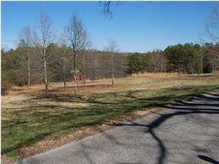 0 East Oakton Road LaFayette, GA 30728 - Photo 1 of 2 Primary Photo