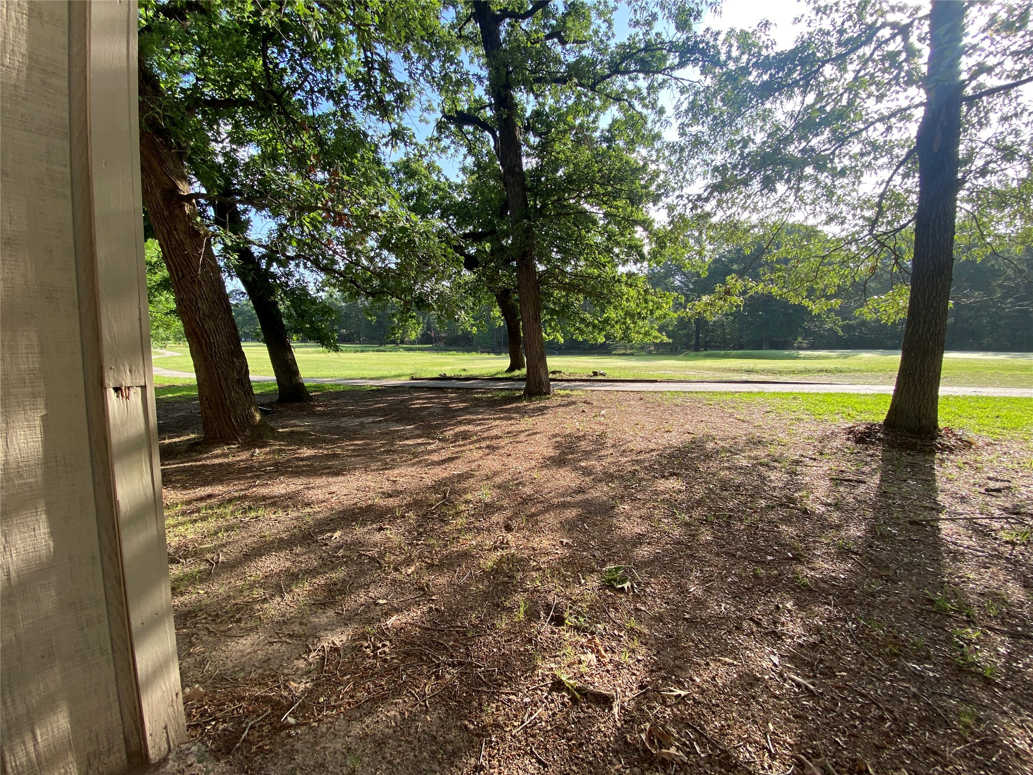 22358 Piney Point Road, Unit C Point Blank, TX 77364 - Photo 3 of 12