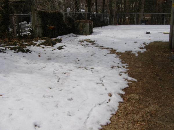 95 Temi Road Raynham, MA 02767 - Photo 21 of 21 Gallery Image 21