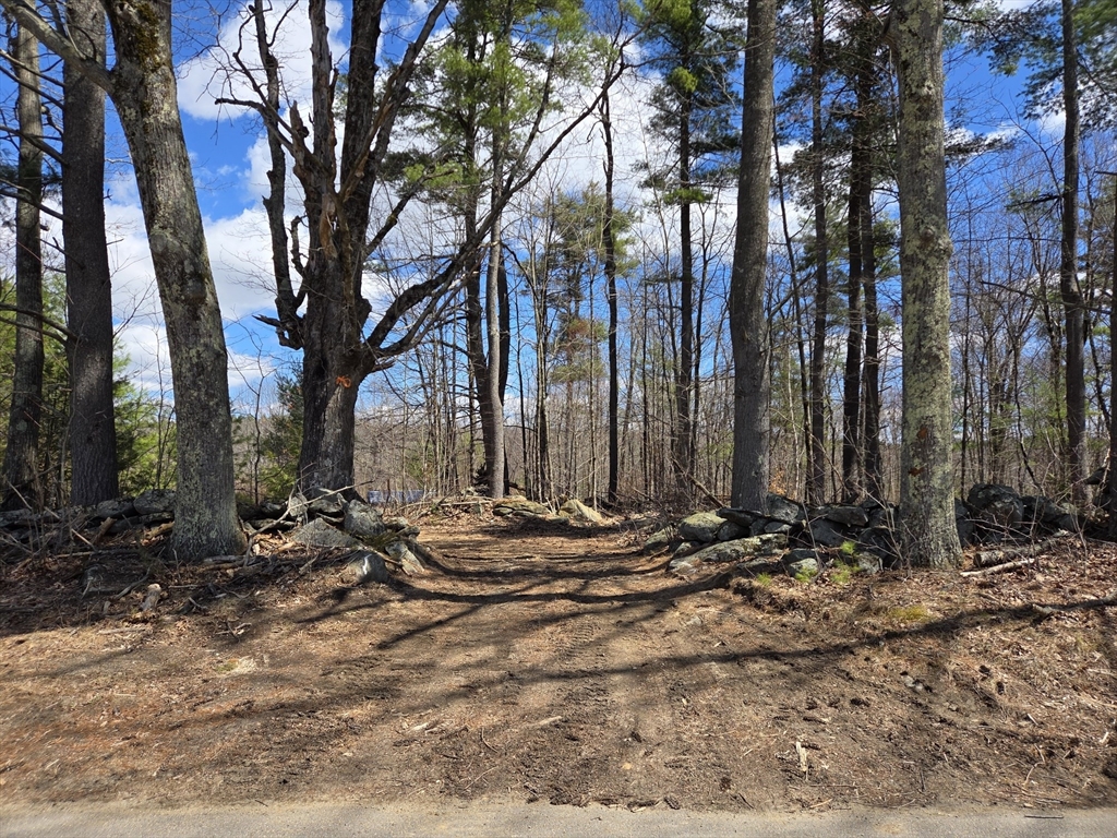 a view of outdoor space with trees