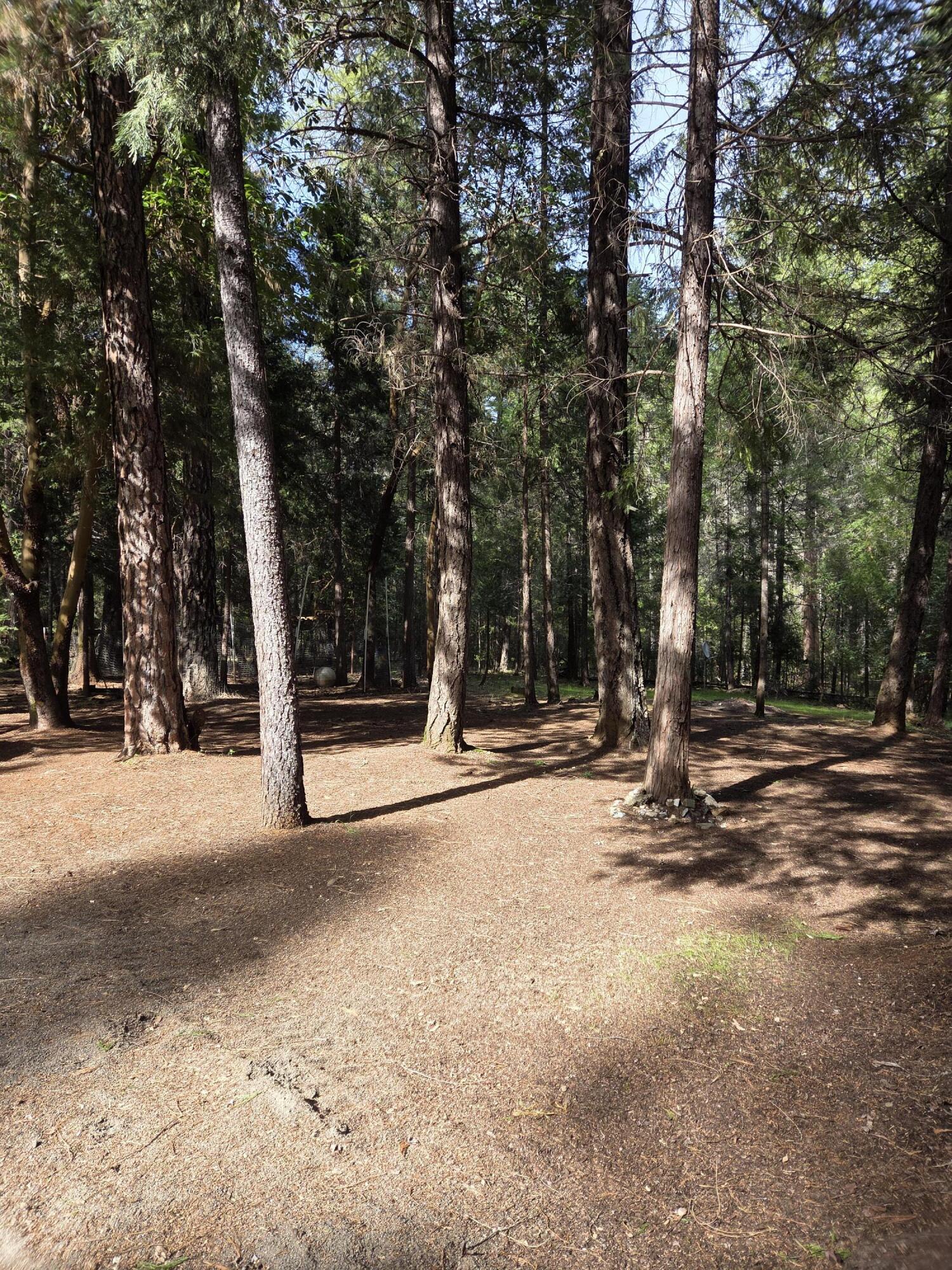 3760 Pleasant Creek Road Rogue River, OR 97537 - Photo 19 of 36