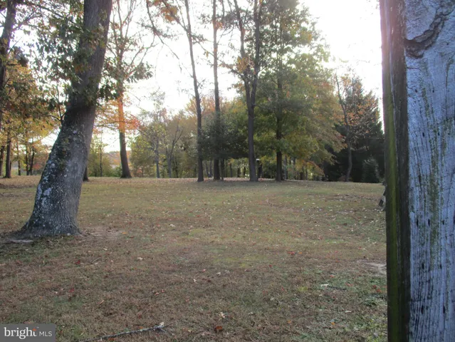 a view of a trees in the middle of a yard