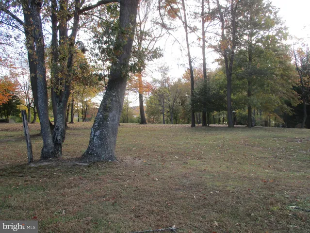 a view of outdoor space with trees