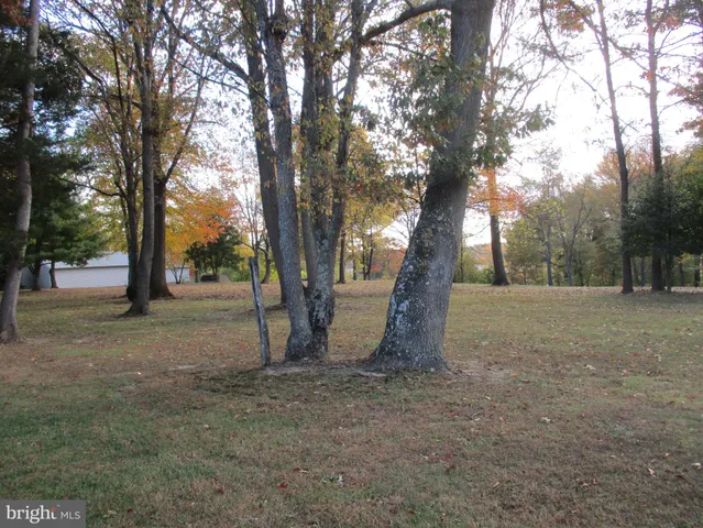 a view of outdoor space