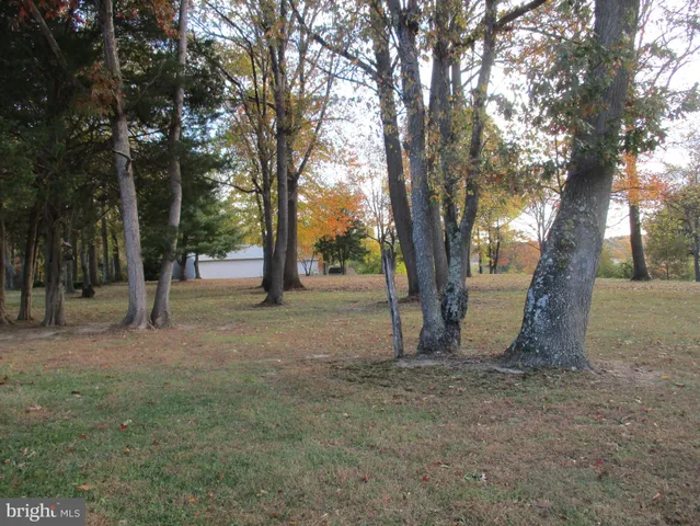 a view of a field with trees in the background