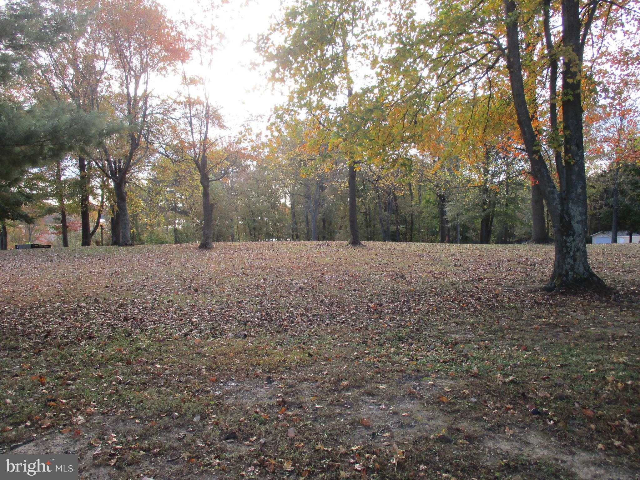 Water Front Oldfield Point Road Elkton, MD 21921 - Photo 20 of 44