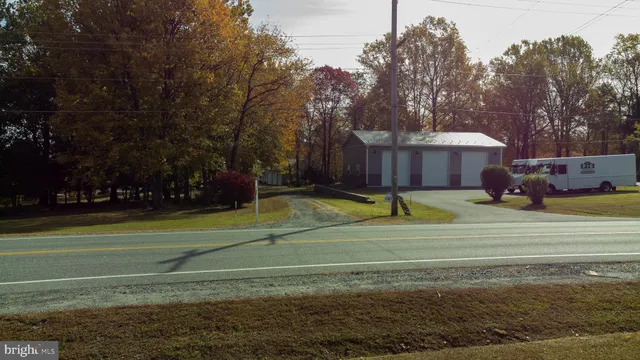 a view of a yard with large trees