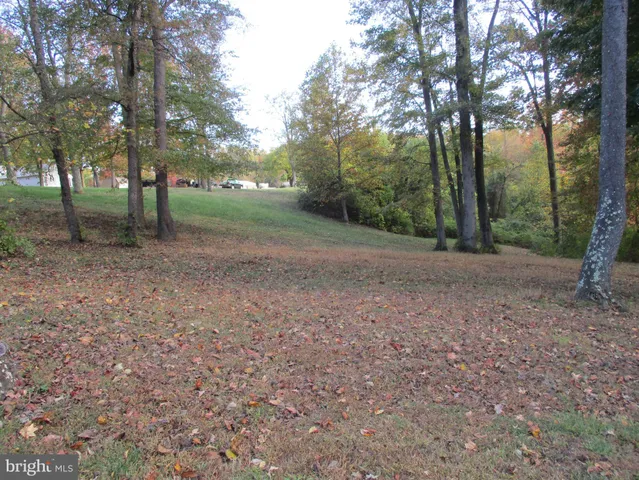 a view of a park with large trees