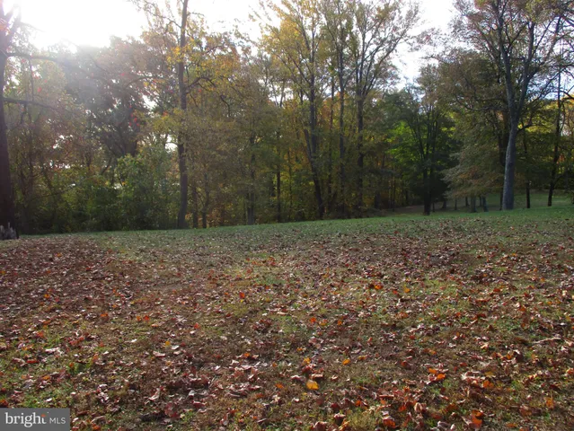 a view of backyard of the house