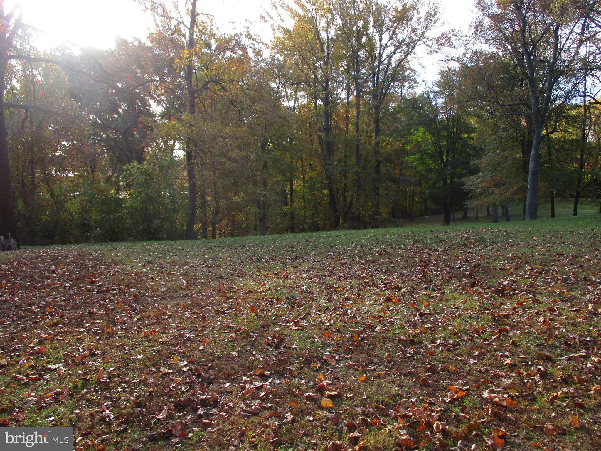 Water Front Oldfield Point Road Elkton, MD 21921 - Photo 25 of 44