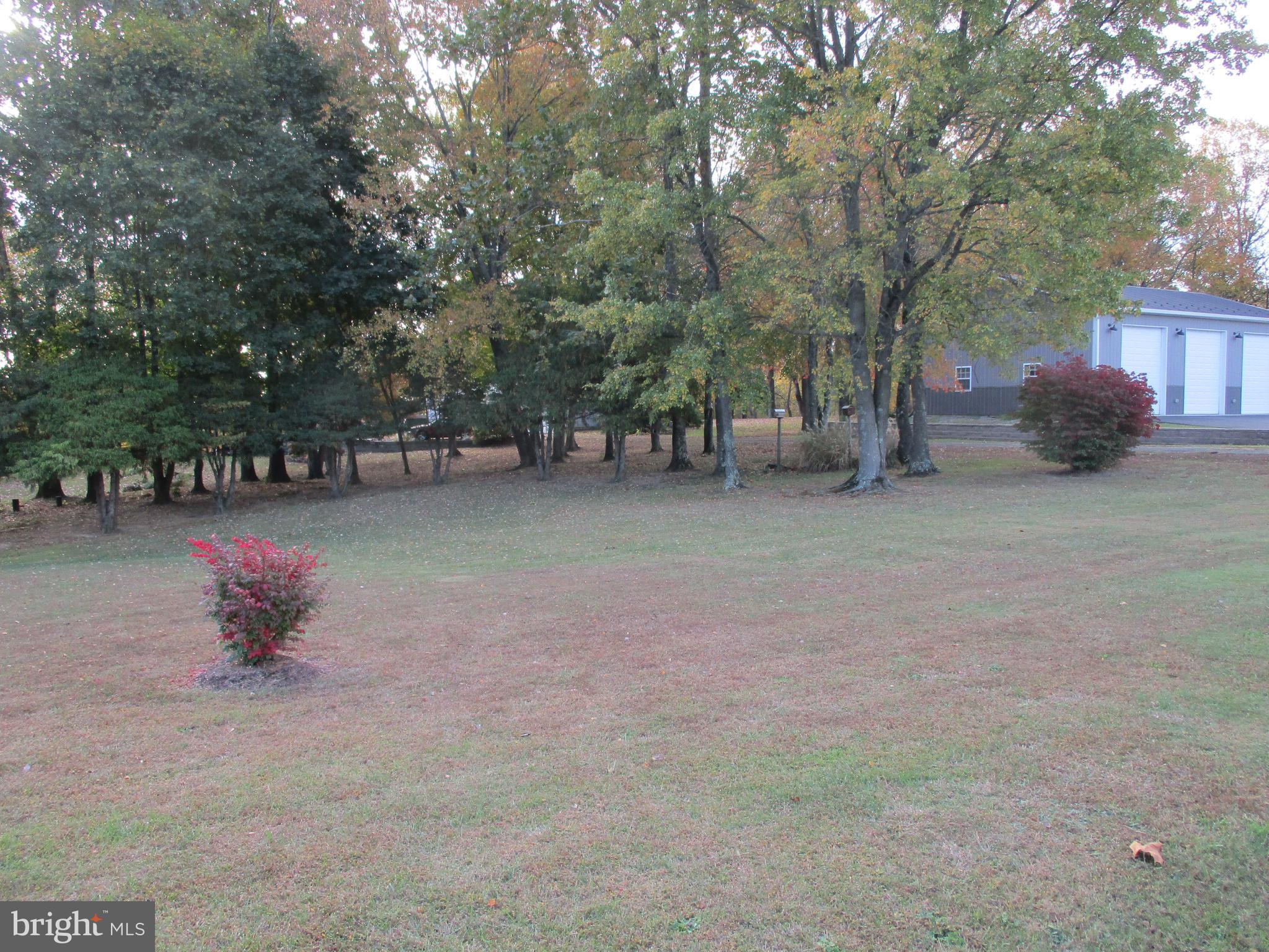 Water Front Oldfield Point Road Elkton, MD 21921 - Photo 31 of 44 This small red bush holds the front corner marker