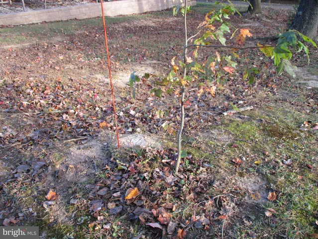 $299,500 | 9.85-ac Water Front 9.85-ac Water Front Oldfield Point Road, Elkton, MD 21921