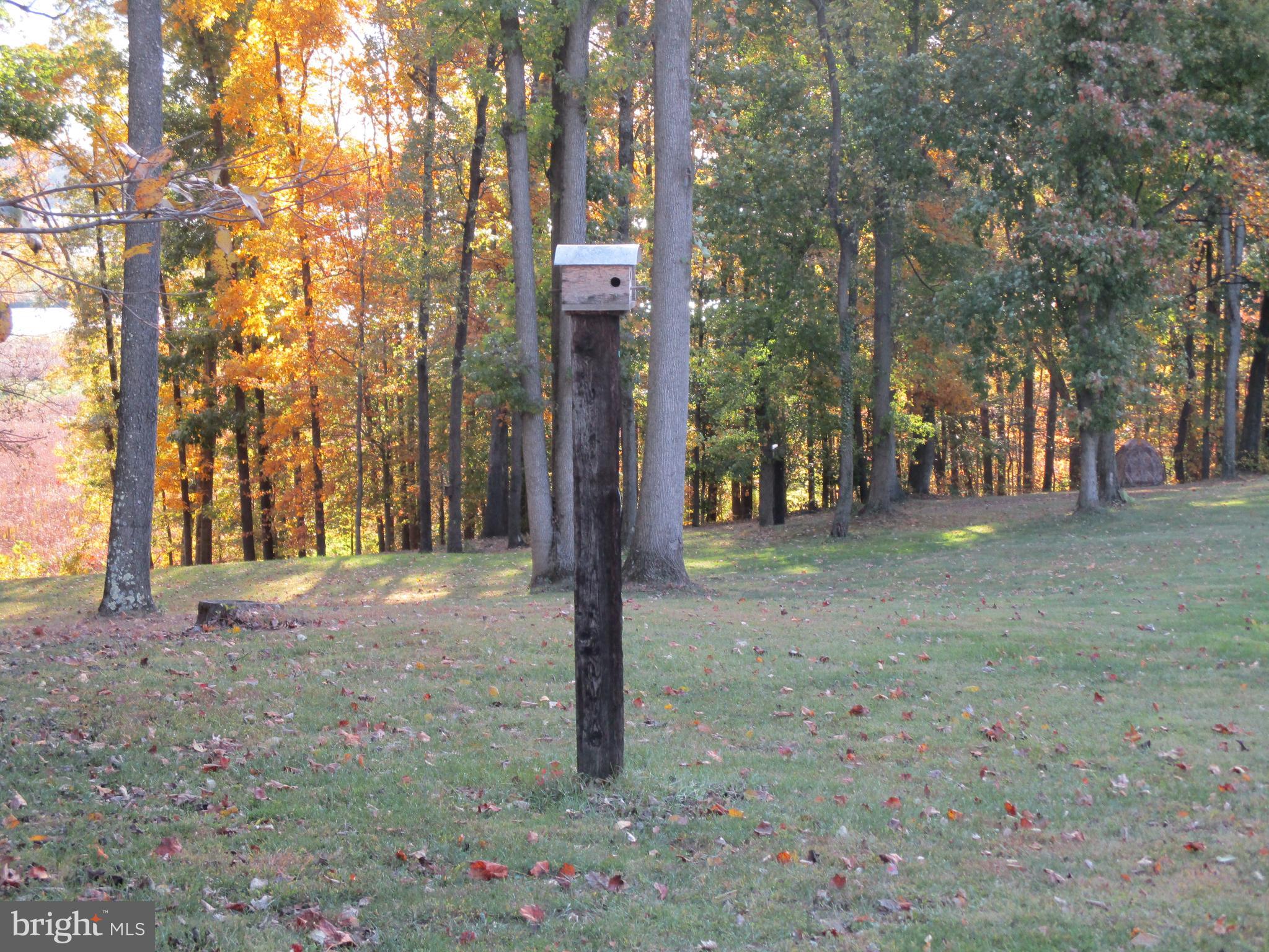 Water Front Oldfield Point Road Elkton, MD 21921 - Photo 35 of 44 Property Marker