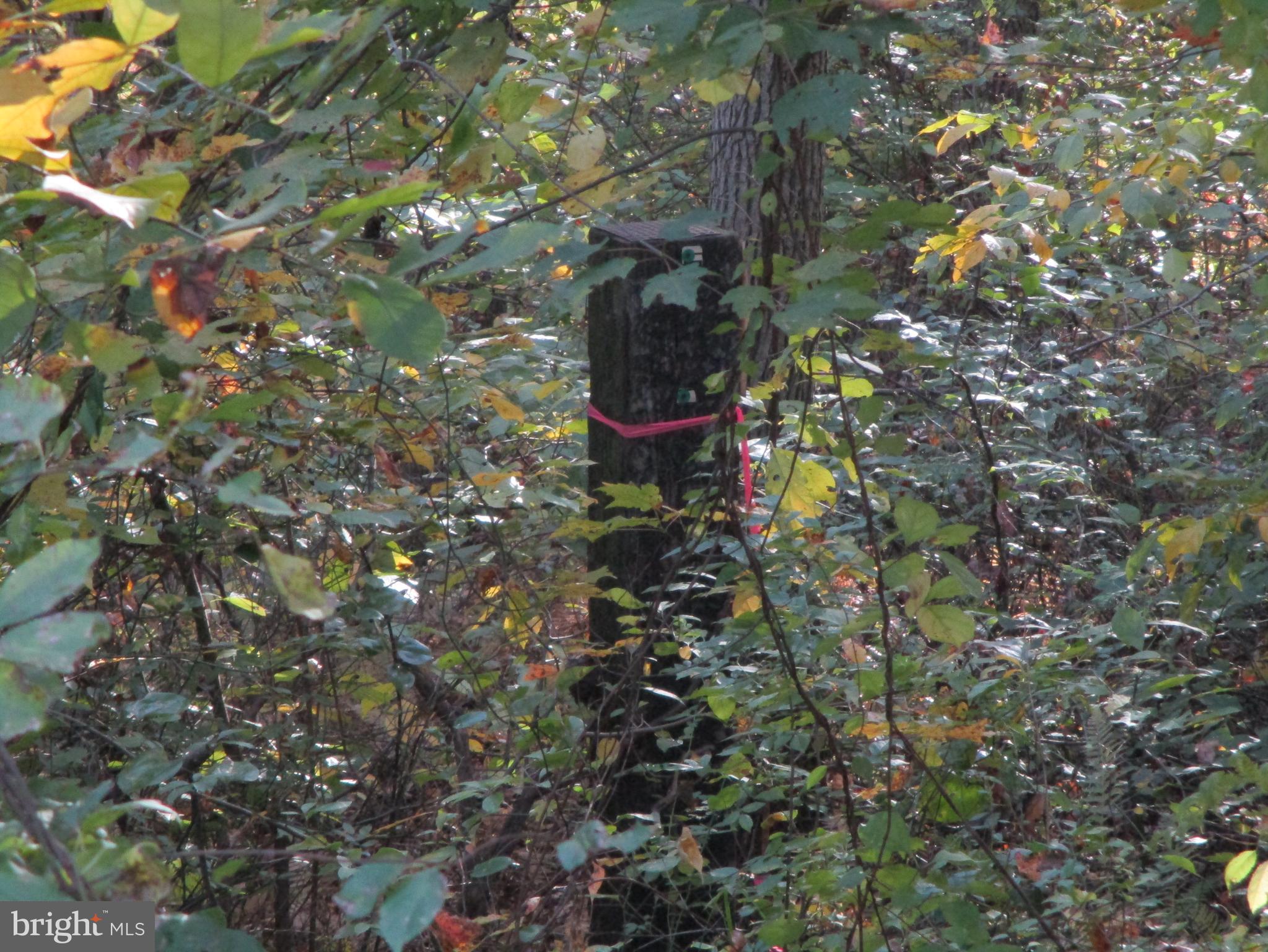 Water Front Oldfield Point Road Elkton, MD 21921 - Photo 37 of 44 Property Marker