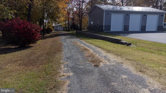 a backyard of a house with plants and large trees