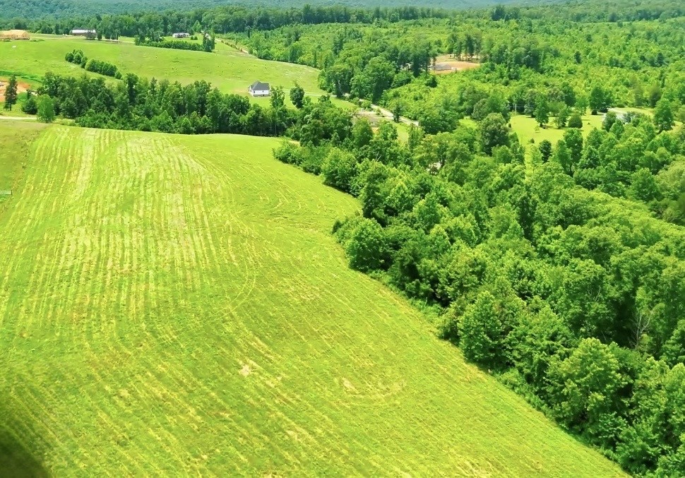 0 Brigham Branch Road Erin, TN 37061 - Photo 14 of 16 Gallery Image 14