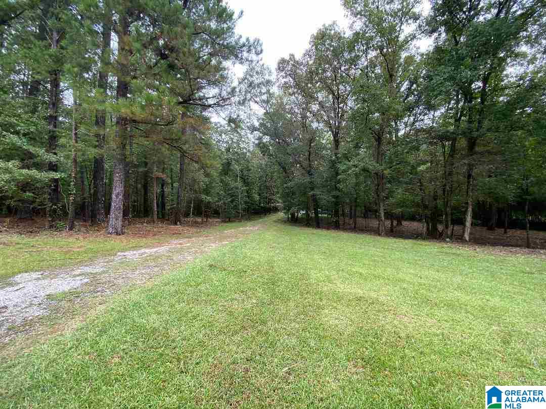 2255 Lost Creek Road Carbon Hill, AL 35549 - Photo 17 of 18
