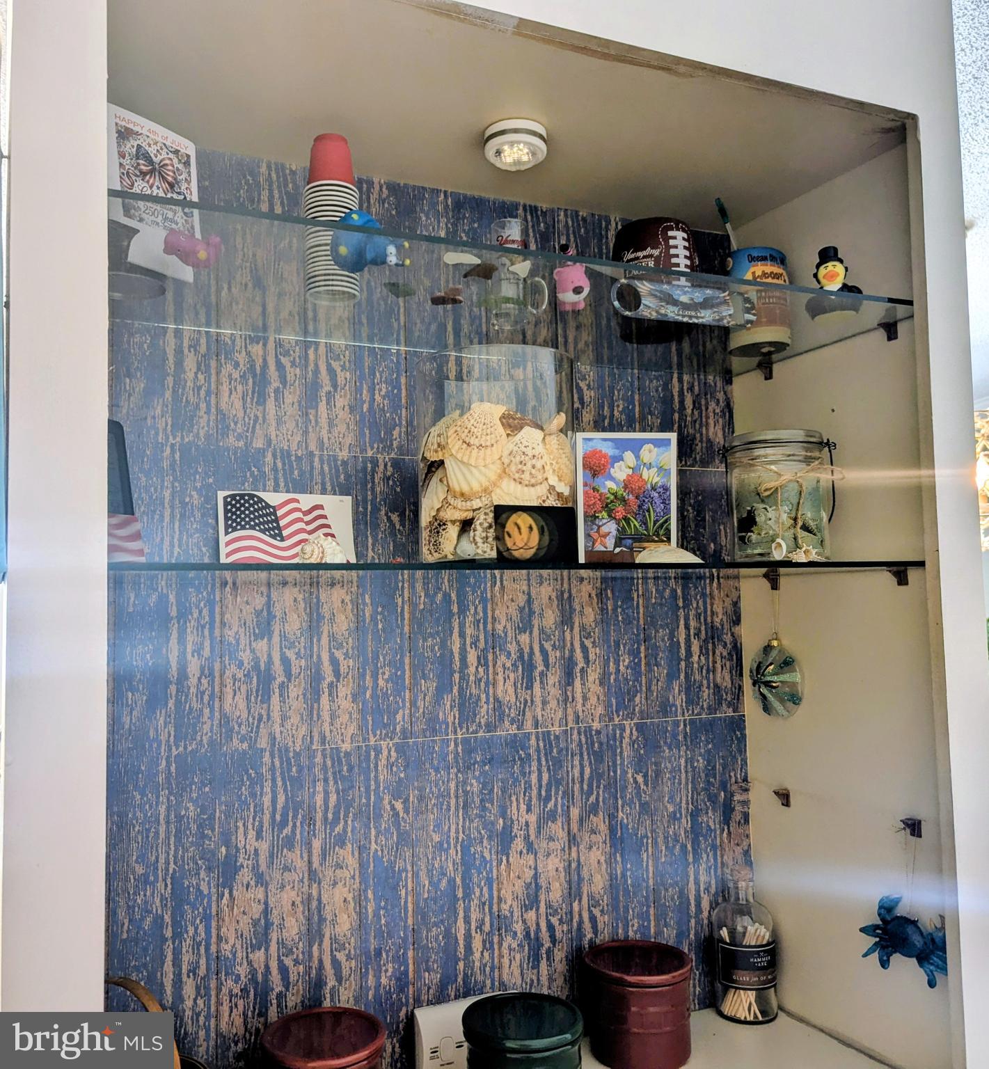 34693 Gunnel Road Millsboro, DE 19966 - Photo 17 of 64 Built in Shelves in Kitchen